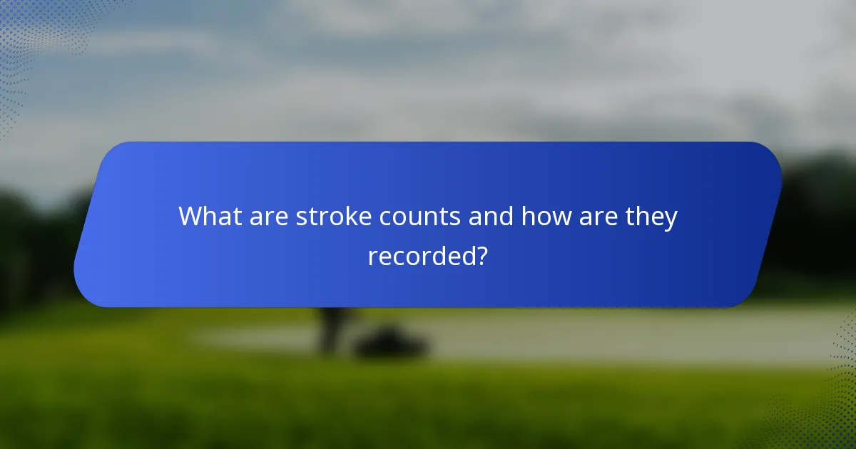 What are stroke counts and how are they recorded?